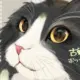 chitose