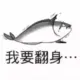 YANGYANTAI的头像-投影工坊